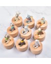 仰望星空 動物 旋轉圓形 音樂盒 MUSIC BOX (一套9個)